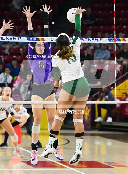 Thumbnail 1 in Sunnyslope vs. Millennium (AIA 5A Final)  photogallery.