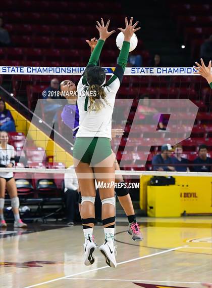 Thumbnail 1 in Sunnyslope vs. Millennium (AIA 5A Final)  photogallery.