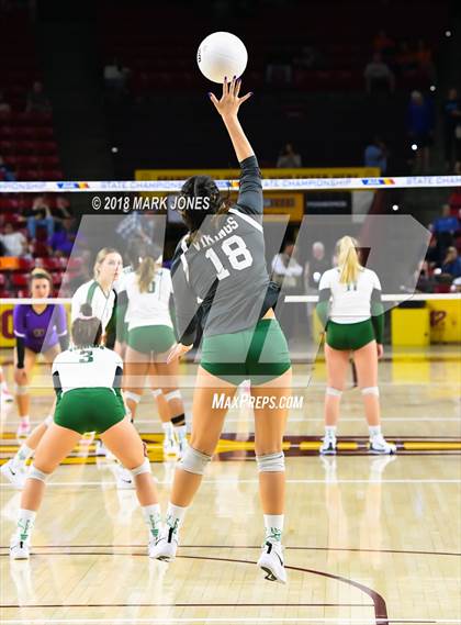 Thumbnail 1 in Sunnyslope vs. Millennium (AIA 5A Final)  photogallery.