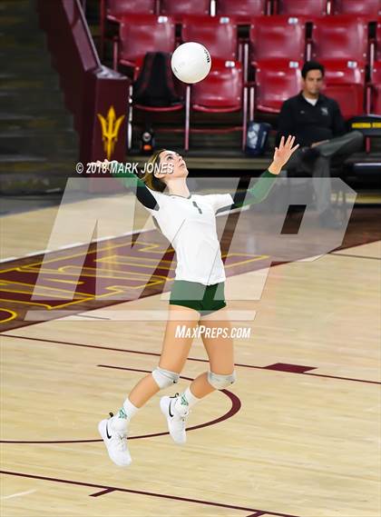 Thumbnail 1 in Sunnyslope vs. Millennium (AIA 5A Final)  photogallery.