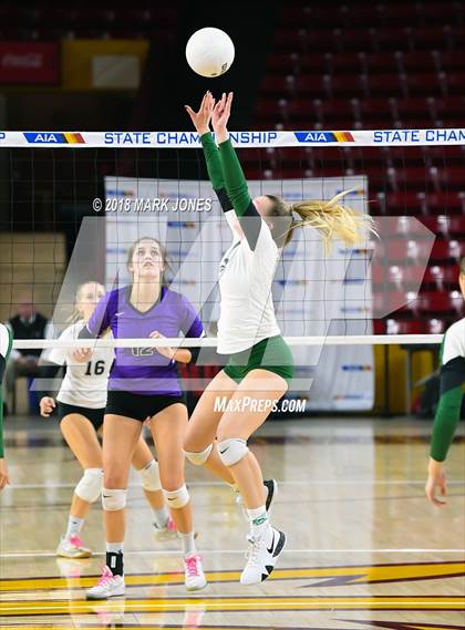 Thumbnail 1 in Sunnyslope vs. Millennium (AIA 5A Final)  photogallery.