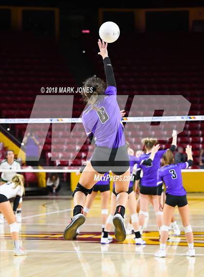 Thumbnail 1 in Sunnyslope vs. Millennium (AIA 5A Final)  photogallery.
