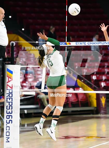 Thumbnail 1 in Sunnyslope vs. Millennium (AIA 5A Final)  photogallery.