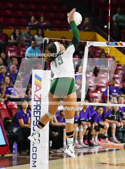 Thumbnail 2 in Sunnyslope vs. Millennium (AIA 5A Final)  photogallery.