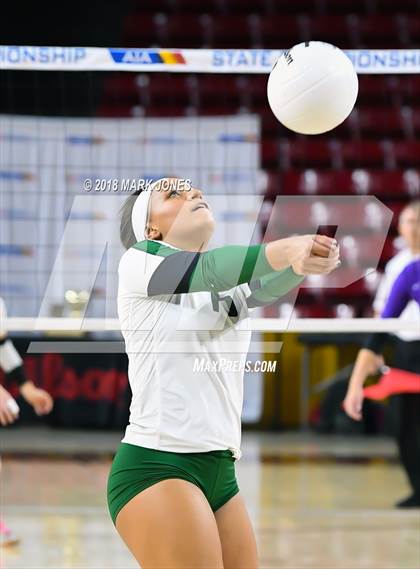 Thumbnail 3 in Sunnyslope vs. Millennium (AIA 5A Final)  photogallery.