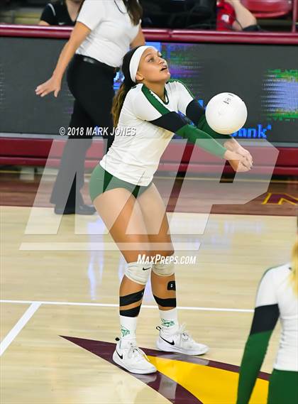 Thumbnail 2 in Sunnyslope vs. Millennium (AIA 5A Final)  photogallery.
