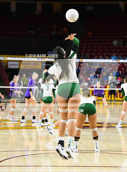 Thumbnail 1 in Sunnyslope vs. Millennium (AIA 5A Final)  photogallery.