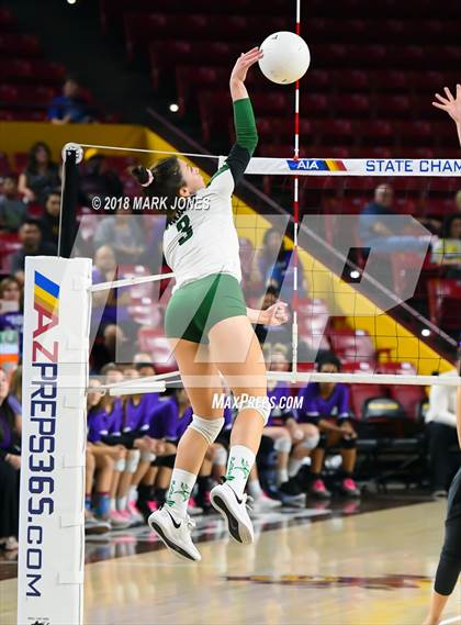Thumbnail 2 in Sunnyslope vs. Millennium (AIA 5A Final)  photogallery.