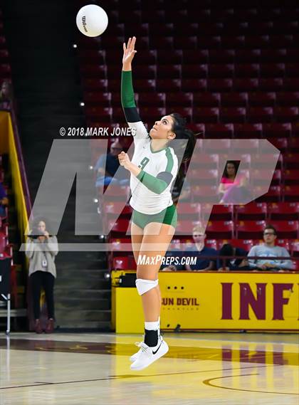 Thumbnail 1 in Sunnyslope vs. Millennium (AIA 5A Final)  photogallery.