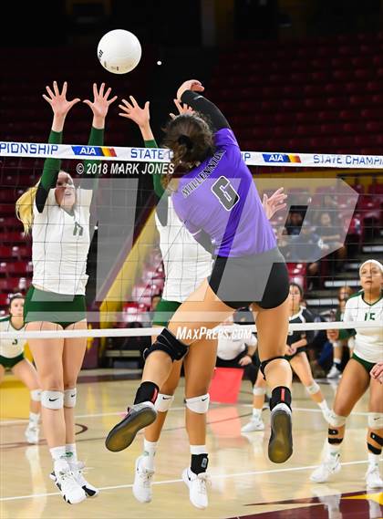 Thumbnail 3 in Sunnyslope vs. Millennium (AIA 5A Final)  photogallery.