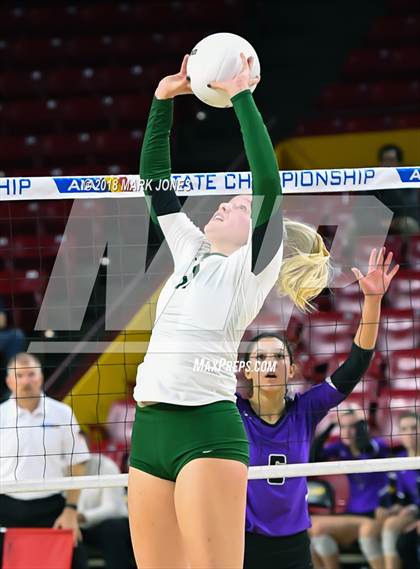 Thumbnail 1 in Sunnyslope vs. Millennium (AIA 5A Final)  photogallery.
