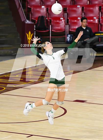 Thumbnail 2 in Sunnyslope vs. Millennium (AIA 5A Final)  photogallery.