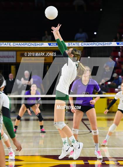 Thumbnail 3 in Sunnyslope vs. Millennium (AIA 5A Final)  photogallery.