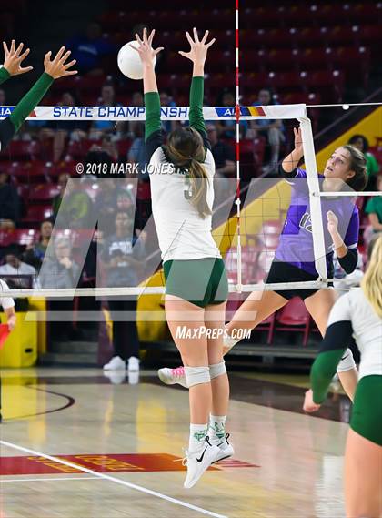 Thumbnail 2 in Sunnyslope vs. Millennium (AIA 5A Final)  photogallery.