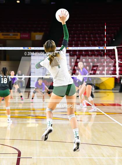 Thumbnail 1 in Sunnyslope vs. Millennium (AIA 5A Final)  photogallery.