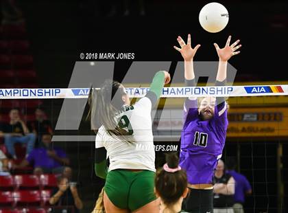 Thumbnail 2 in Sunnyslope vs. Millennium (AIA 5A Final)  photogallery.