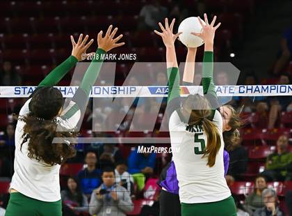 Thumbnail 3 in Sunnyslope vs. Millennium (AIA 5A Final)  photogallery.