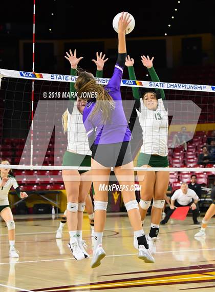 Thumbnail 1 in Sunnyslope vs. Millennium (AIA 5A Final)  photogallery.