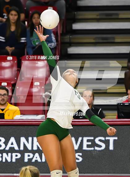 Thumbnail 1 in Sunnyslope vs. Millennium (AIA 5A Final)  photogallery.