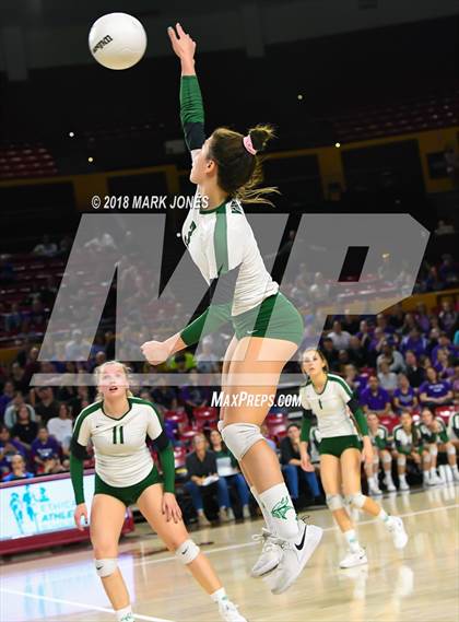 Thumbnail 3 in Sunnyslope vs. Millennium (AIA 5A Final)  photogallery.