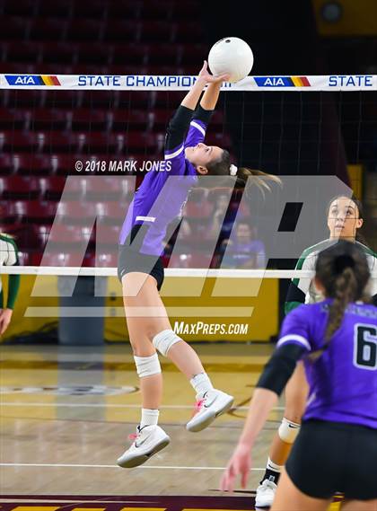 Thumbnail 2 in Sunnyslope vs. Millennium (AIA 5A Final)  photogallery.