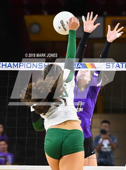 Thumbnail 1 in Sunnyslope vs. Millennium (AIA 5A Final)  photogallery.