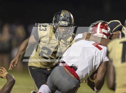 Thumbnail 3 in Edgewater @ Ocoee photogallery.