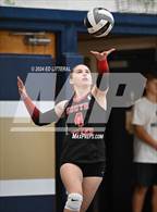 Photo from the gallery "South Webster @ Notre Dame"