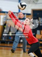 Photo from the gallery "South Webster @ Notre Dame"