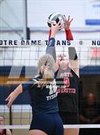 Photo from the gallery "South Webster @ Notre Dame"