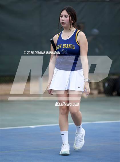 Thumbnail 1 in Olive Branch vs Desoto Central photogallery.
