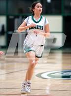 Photo from the gallery "Sequoia @ James Lick"