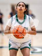 Photo from the gallery "Sequoia @ James Lick"