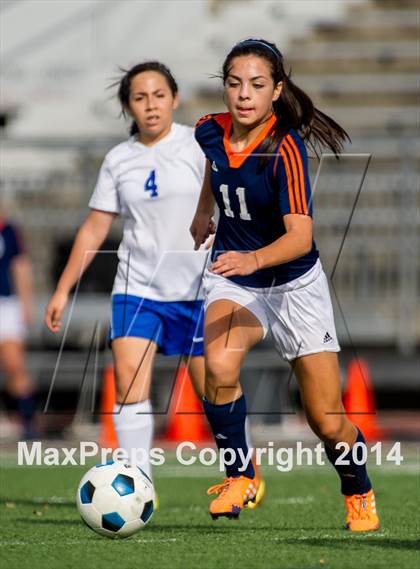 Thumbnail 2 in Brandeis @ Jay photogallery.
