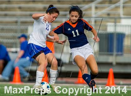 Thumbnail 2 in Brandeis @ Jay photogallery.
