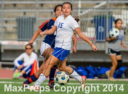 Thumbnail 2 in Brandeis @ Jay photogallery.