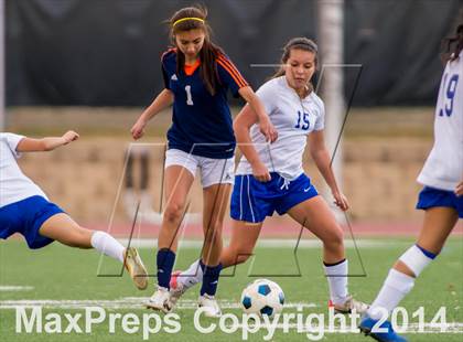 Thumbnail 1 in Brandeis @ Jay photogallery.
