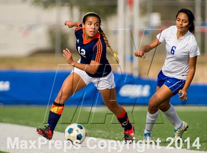 Thumbnail 1 in Brandeis @ Jay photogallery.