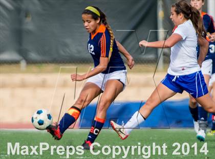 Thumbnail 1 in Brandeis @ Jay photogallery.