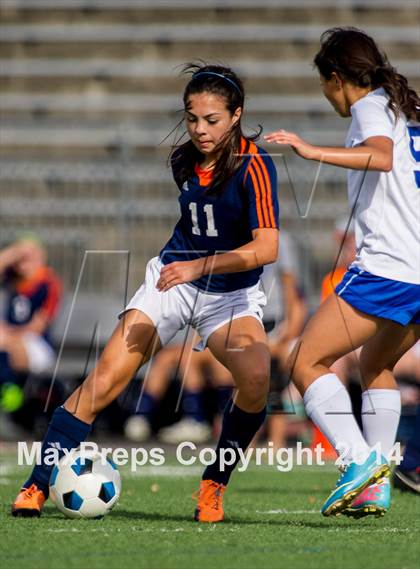 Thumbnail 1 in Brandeis @ Jay photogallery.