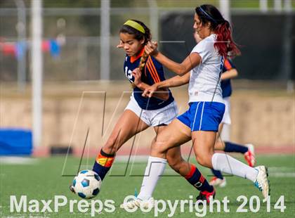 Thumbnail 1 in Brandeis @ Jay photogallery.