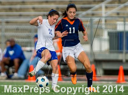 Thumbnail 1 in Brandeis @ Jay photogallery.