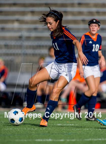 Thumbnail 2 in Brandeis @ Jay photogallery.