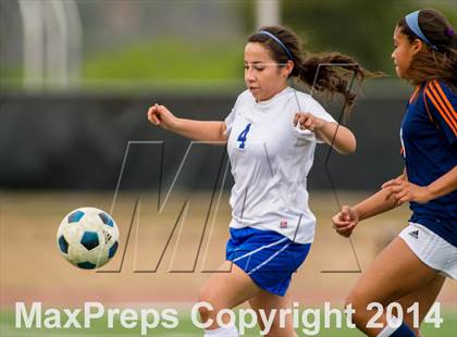 Thumbnail 1 in Brandeis @ Jay photogallery.