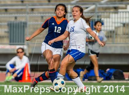 Thumbnail 1 in Brandeis @ Jay photogallery.
