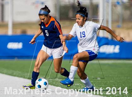 Thumbnail 3 in Brandeis @ Jay photogallery.