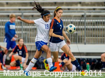 Thumbnail 2 in Brandeis @ Jay photogallery.
