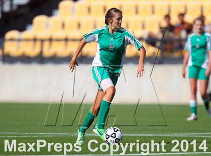 Thumbnail 3 in Starr's Mill vs. McIntosh (GHSA 5A Final) photogallery.