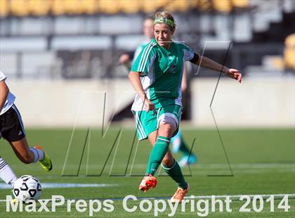 Thumbnail 1 in Starr's Mill vs. McIntosh (GHSA 5A Final) photogallery.