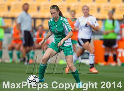 Thumbnail 1 in Starr's Mill vs. McIntosh (GHSA 5A Final) photogallery.